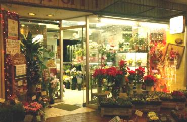 クリスマスライトアップ｜「ポピー」　（京都府八幡市の花キューピット加盟店 花屋）のブログ