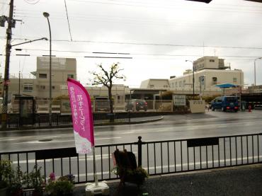 降水確率0％のはずが雨が降っています。｜「ポピー」　（京都府八幡市の花キューピット加盟店 花屋）のブログ