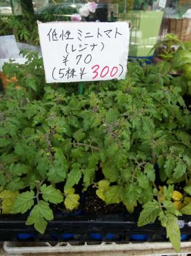 野菜が高い。こんな時は・・・｜「ポピー」　（京都府八幡市の花キューピット加盟店 花屋）のブログ