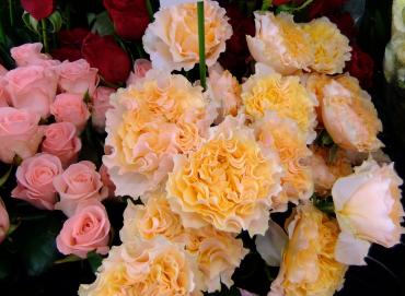 超八重のバラ「ラ・カンパネラ」｜「ポピー」　（京都府八幡市の花キューピット加盟店 花屋）のブログ