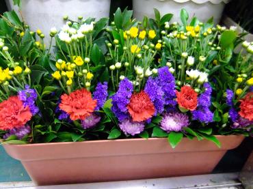 明日は代え花で普通の仏花｜「ポピー」　（京都府八幡市の花キューピット加盟店 花屋）のブログ