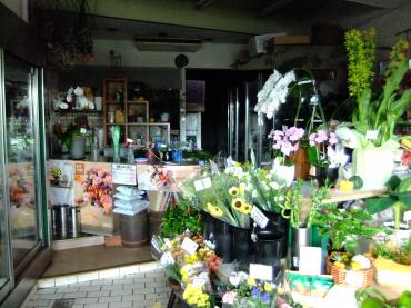 雷で停電｜「ポピー」　（京都府八幡市の花キューピット加盟店 花屋）のブログ