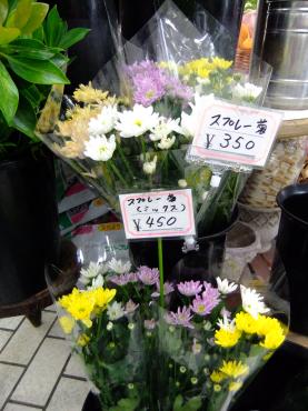 あさってまでがお彼岸です｜「ポピー」　（京都府八幡市の花キューピット加盟店 花屋）のブログ