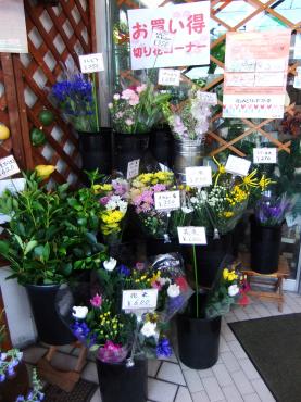 模様替え｜「ポピー」　（京都府八幡市の花キューピット加盟店 花屋）のブログ