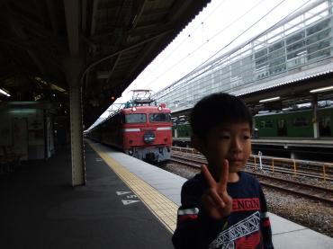 京都駅で電車を見る１日｜「ポピー」　（京都府八幡市の花キューピット加盟店 花屋）のブログ