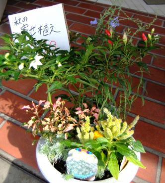 秋の寄せ植え｜「ポピー」　（京都府八幡市の花キューピット加盟店 花屋）のブログ