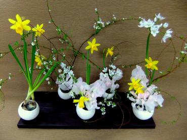春から夏｜「ポピー」　（京都府八幡市の花キューピット加盟店 花屋）のブログ