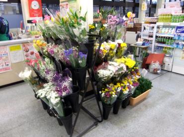 スーパーにおろしてる花の置き場所が変わりました 花屋ブログ 京都府八幡市の花屋 ポピーにフラワーギフトはお任せください 当店は 安心と信頼の 花キューピット加盟店です 花キューピットタウン