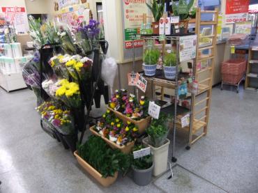 スーパーにおろしてる花の置き場所が変わりました。｜「ポピー」　（京都府八幡市の花キューピット加盟店 花屋）のブログ