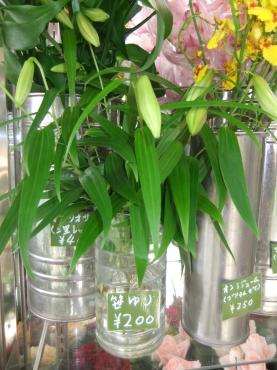 幻のゆり｜「ポピー」　（京都府八幡市の花キューピット加盟店 花屋）のブログ