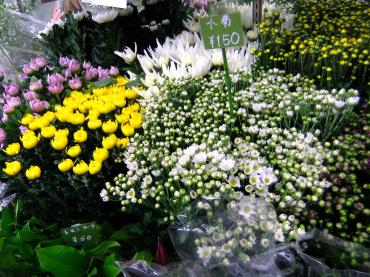 やっと｜「ポピー」　（京都府八幡市の花キューピット加盟店 花屋）のブログ