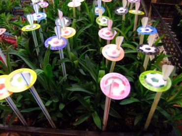 今日は大忙し！！｜「ポピー」　（京都府八幡市の花キューピット加盟店 花屋）のブログ