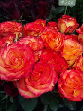 輸入のバラ｜「ポピー」　（京都府八幡市の花キューピット加盟店 花屋）のブログ