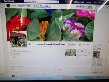 フェイスブックページ作ってみました。｜「ポピー」　（京都府八幡市の花キューピット加盟店 花屋）のブログ