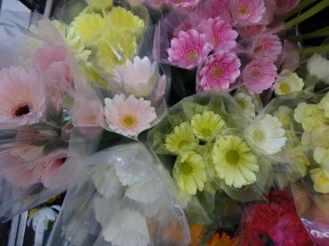 ガーベラにもいろいろあります。｜「ポピー」　（京都府八幡市の花キューピット加盟店 花屋）のブログ