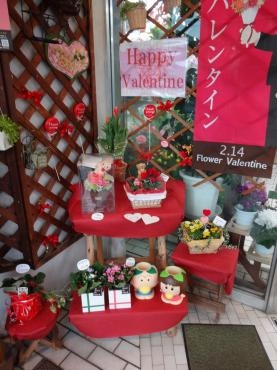 フラワーバレンタインコーナー作ったんですけど｜「ポピー」　（京都府八幡市の花キューピット加盟店 花屋）のブログ