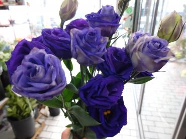 dsc01000