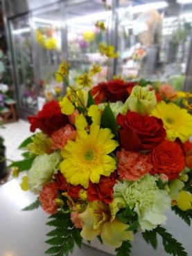 おつかれさまでした｜「ポピー」　（京都府八幡市の花キューピット加盟店 花屋）のブログ