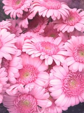 時価って怖い｜「ポピー」　（京都府八幡市の花キューピット加盟店 花屋）のブログ
