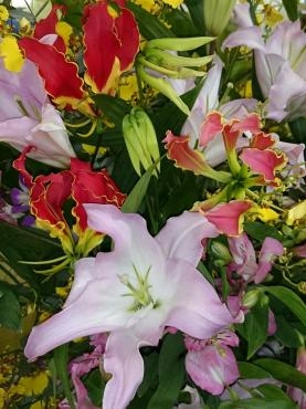 スマホ変えました｜「ポピー」　（京都府八幡市の花キューピット加盟店 花屋）のブログ