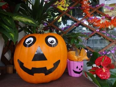 ハロウィン用デカかぼちゃ入荷!!｜「ポピー」　（京都府八幡市の花キューピット加盟店 花屋）のブログ