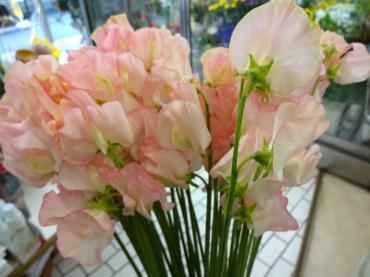 売り出し２日目｜「ポピー」　（京都府八幡市の花キューピット加盟店 花屋）のブログ