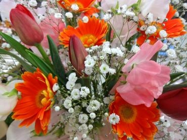 春らしい花が増えてきましたよ｜「ポピー」　（京都府八幡市の花キューピット加盟店 花屋）のブログ