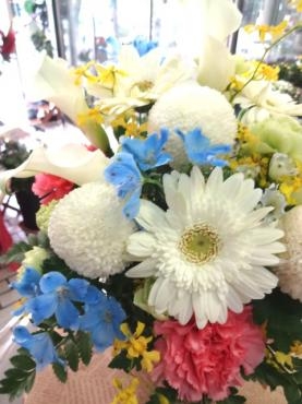 すだれ｜「ポピー」　（京都府八幡市の花キューピット加盟店 花屋）のブログ