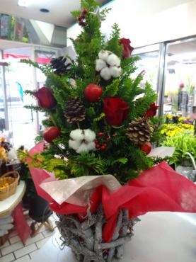 クリスマスツリーアレンジメント｜「ポピー」　（京都府八幡市の花キューピット加盟店 花屋）のブログ