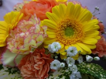 そろそろ発表します｜「ポピー」　（京都府八幡市の花キューピット加盟店 花屋）のブログ