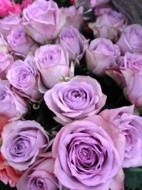 綺麗な紫のバラ：ライラッククラシック｜「ポピー」　（京都府八幡市の花キューピット加盟店 花屋）のブログ