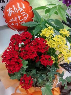 敬老の日は９月１９日｜「ポピー」　（京都府八幡市の花キューピット加盟店 花屋）のブログ