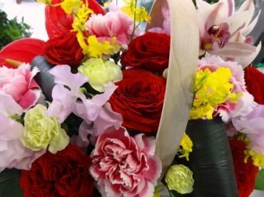 防寒対策｜「ポピー」　（京都府八幡市の花キューピット加盟店 花屋）のブログ