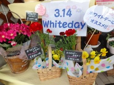 ホワイトデーコーナーできました！｜「ポピー」　（京都府八幡市の花キューピット加盟店 花屋）のブログ