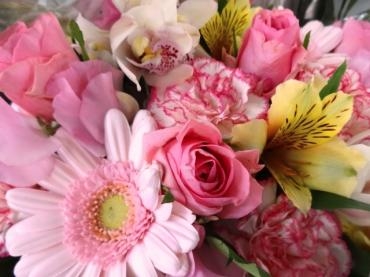 春色｜「ポピー」　（京都府八幡市の花キューピット加盟店 花屋）のブログ