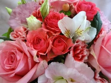 夏場の切り花を長持ちさせる方法は・・・・・・・・｜「ポピー」　（京都府八幡市の花キューピット加盟店 花屋）のブログ