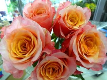 バラとデンファレ｜「ポピー」　（京都府八幡市の花キューピット加盟店 花屋）のブログ