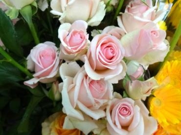 石化バラ｜「ポピー」　（京都府八幡市の花キューピット加盟店 花屋）のブログ
