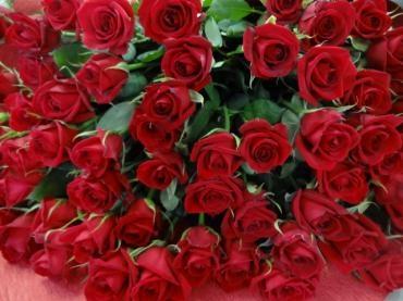 赤バラ６０本の花束｜「ポピー」　（京都府八幡市の花キューピット加盟店 花屋）のブログ