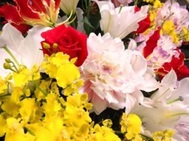 スクワット｜「ポピー」　（京都府八幡市の花キューピット加盟店 花屋）のブログ