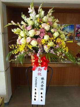 新年度のお花達+猫｜「ポピー」　（京都府八幡市の花キューピット加盟店 花屋）のブログ
