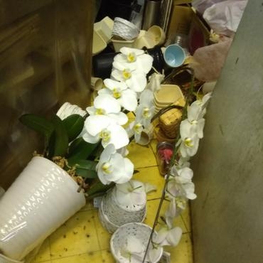 地震の影響で｜「ポピー」　（京都府八幡市の花キューピット加盟店 花屋）のブログ