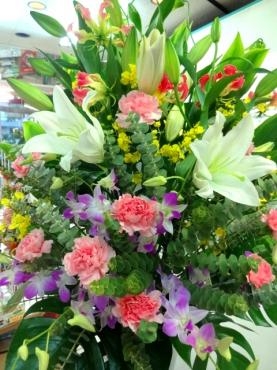 お祝いアレンジメント｜「ポピー」　（京都府八幡市の花キューピット加盟店 花屋）のブログ