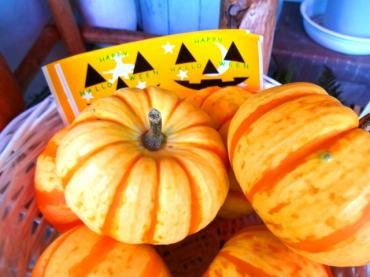 ハロウィンかぼちゃ＆敬老の日｜「ポピー」　（京都府八幡市の花キューピット加盟店 花屋）のブログ
