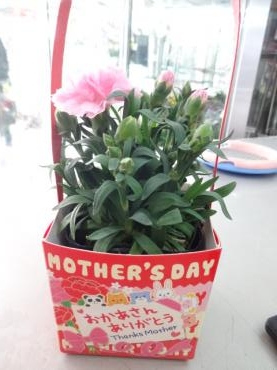 今年は5月全部が母の月｜「ポピー」　（京都府八幡市の花キューピット加盟店 花屋）のブログ