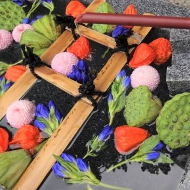 お盆のお花｜「ポピー」　（京都府八幡市の花キューピット加盟店 花屋）のブログ