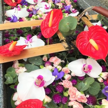 今週の花手水｜「ポピー」　（京都府八幡市の花キューピット加盟店 花屋）のブログ