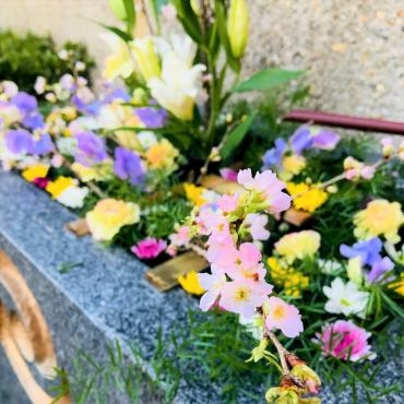 今週の花手水｜「ポピー」　（京都府八幡市の花キューピット加盟店 花屋）のブログ