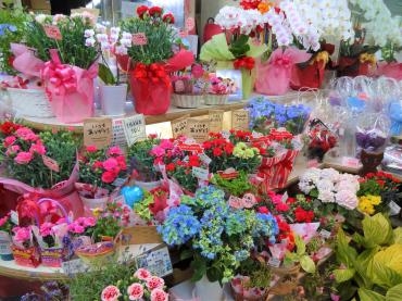 母の日前、鉢物出そろいました。｜「ポピー」　（京都府八幡市の花キューピット加盟店 花屋）のブログ