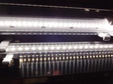 LED電球交換完了｜「ポピー」　（京都府八幡市の花キューピット加盟店 花屋）のブログ